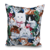 Kitty's Pocket Wish Pillow-large